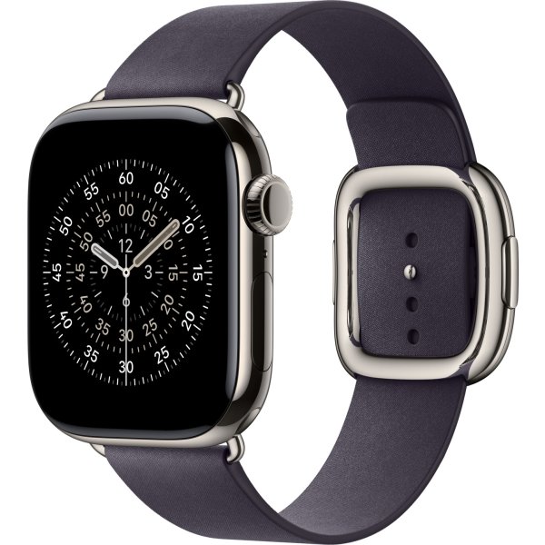 Apple Moderne spænderem, lilla, 42 mm - Small