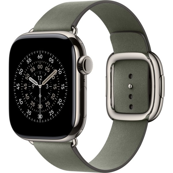 Apple Moderne spænderem, salviegrå, 42 mm - Medium