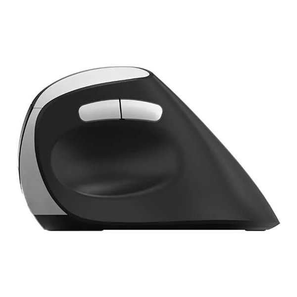 RAPOO Mus EV250, 2,4 GHz, trådløs, Optisk sort