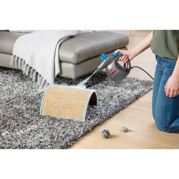 BISSELL Damprenser, håndholdt