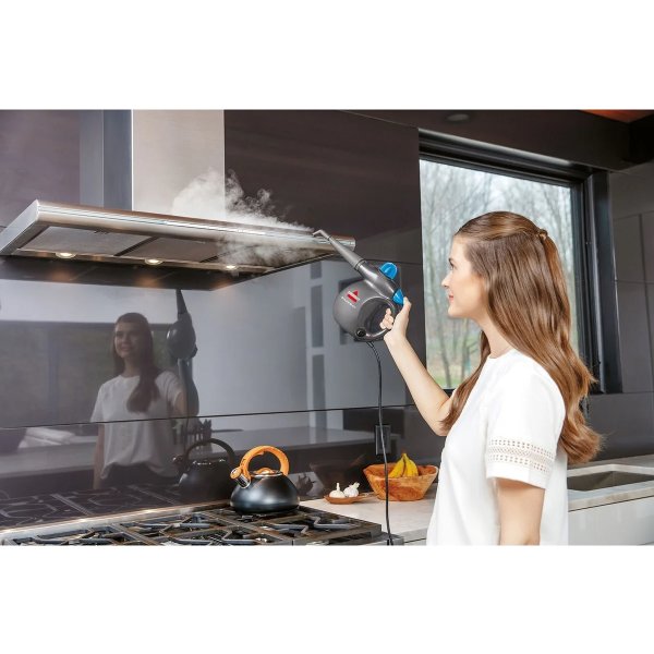 BISSELL Damprenser, håndholdt