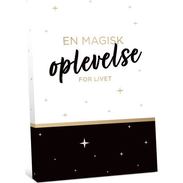 GO DREAM - Valgfri oplevelse (300)