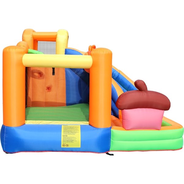 Doctor Dolphin Squirrel Hoppeborg