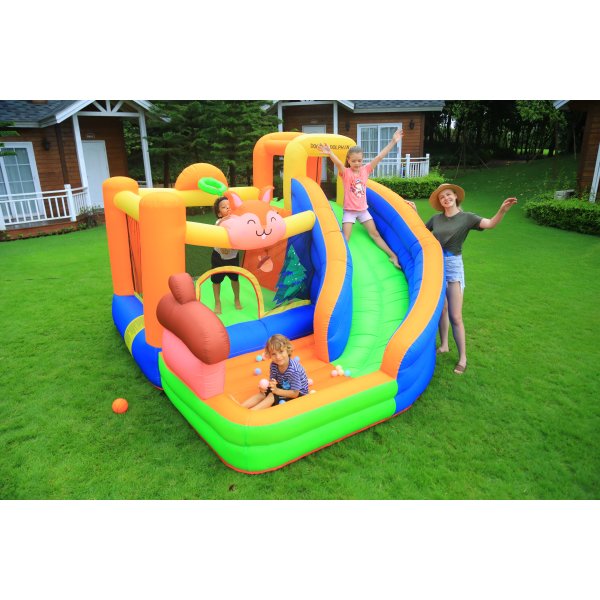 Doctor Dolphin Squirrel Hoppeborg