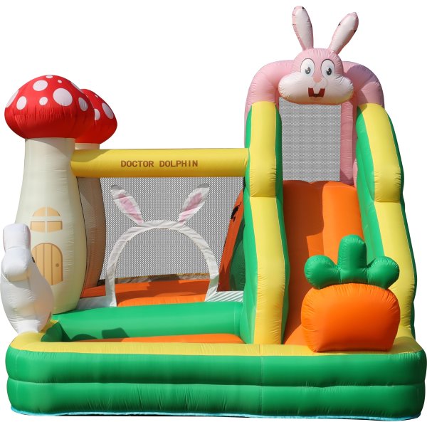 Doctor Dolphin Rabbit Hoppeborg