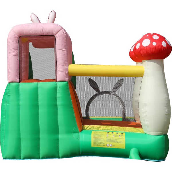 Doctor Dolphin Rabbit Hoppeborg