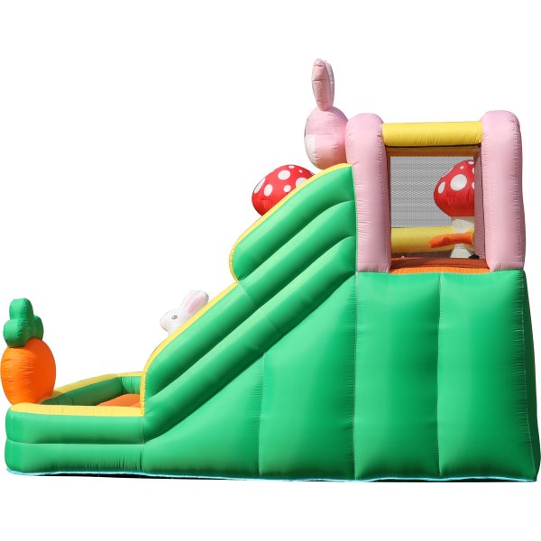 Doctor Dolphin Rabbit Hoppeborg