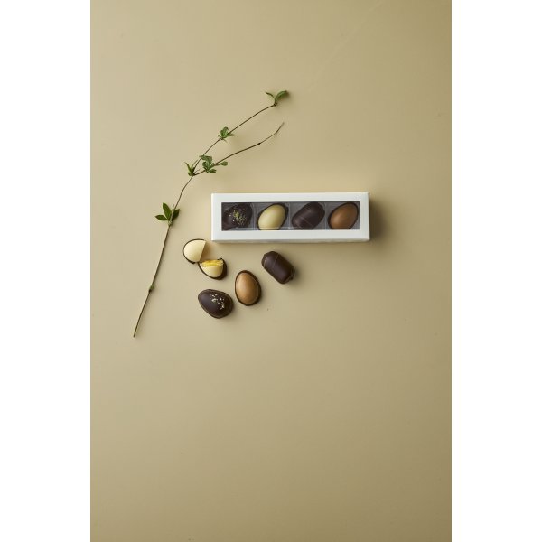 Ole Chokolade Gaveæske m. 4 mesteræg, 120 g