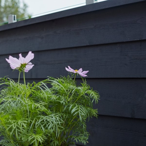 Plus Klink Profilhegn, glas 44,6, sort, 174x163cm