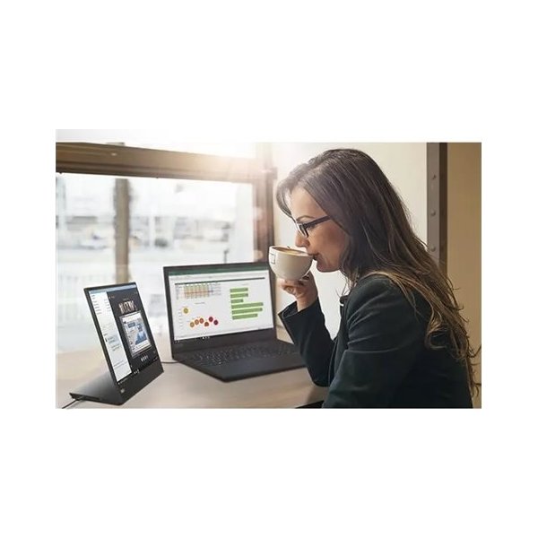 Lenovo ThinkVision M15 transportabel 15,6" skærm