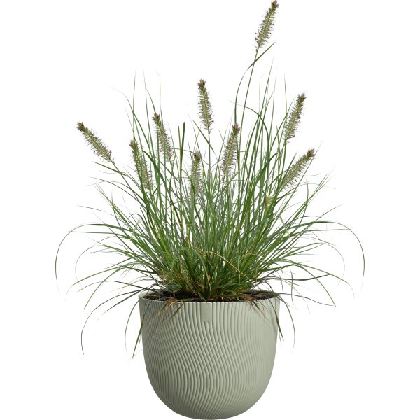 Elho Sereh Blomsterkrukke, 25 cm, nordic green