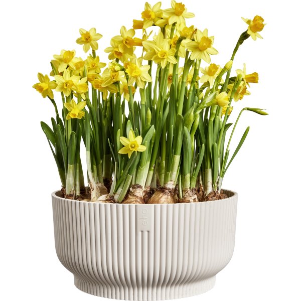 Elho Vibes Bowl Blomsterkrukke, 25 cm, linen white