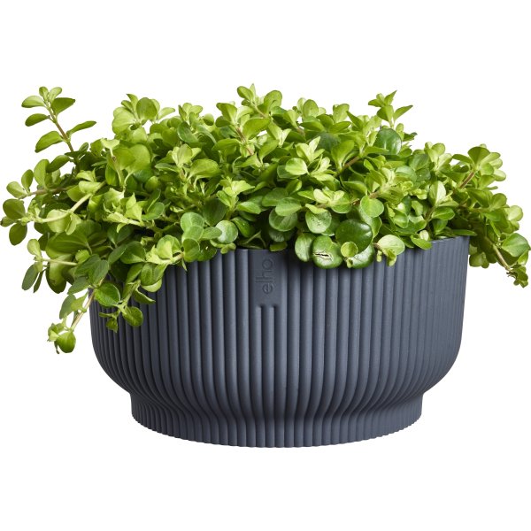 Elho Vibes Bowl Blomsterkrukke, 25 cm, anthracite
