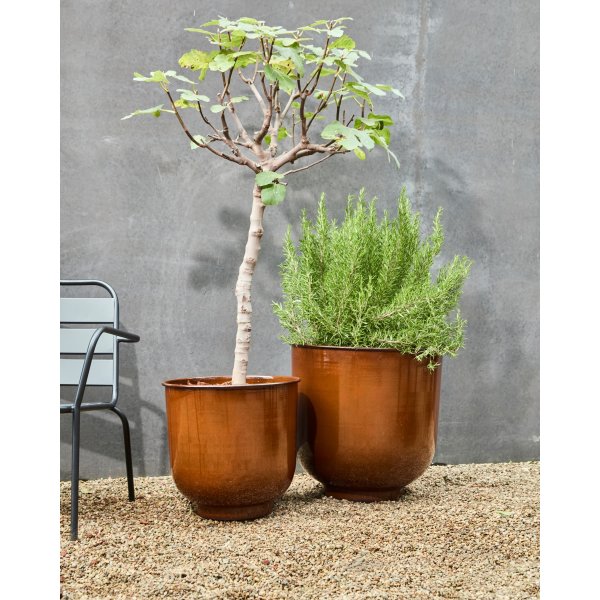 House Doctor Cove Urtepotter, brun, 2 stk