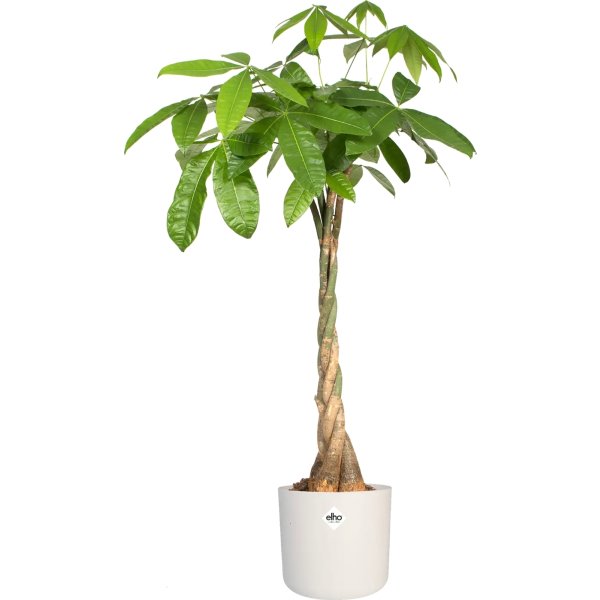 Elho B.for Soft Blomsterkrukke, 14 cm, white