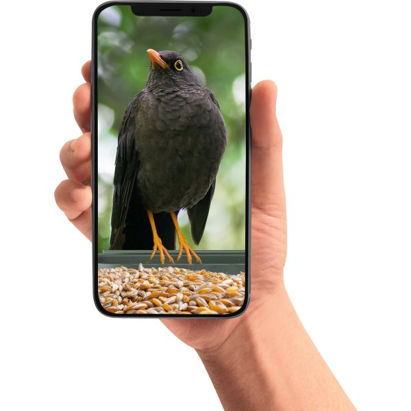 CapableX Foderbræt med kamera