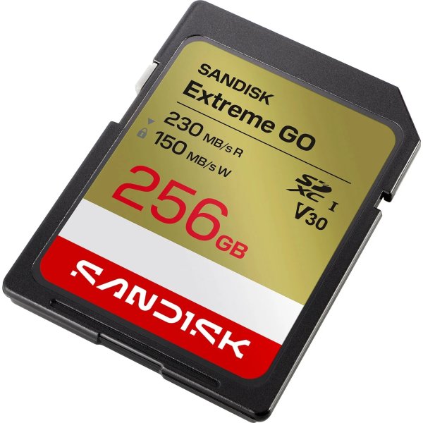 SANDISK Hukommelseskort - SD Extreme GO 256GB