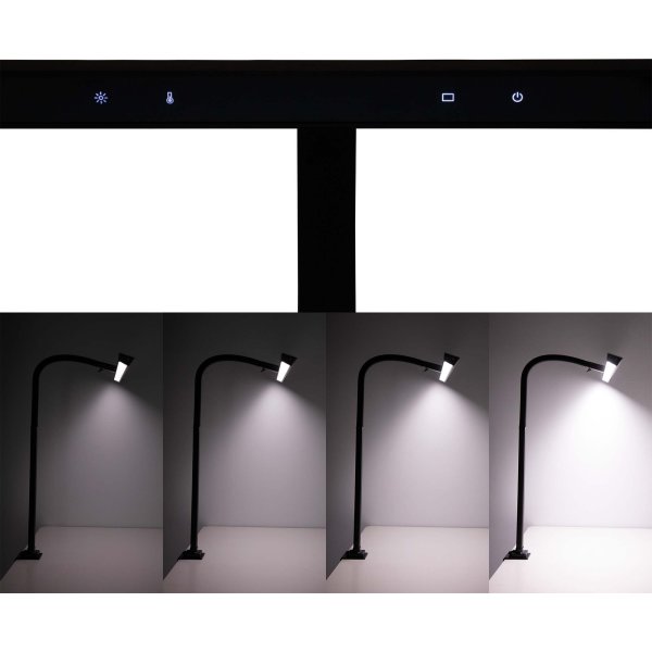 MAUL LED bordlampe, MAULgate, sort