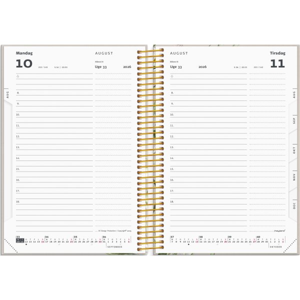 Mayland 26/27 Kalender, Studie Stor Story