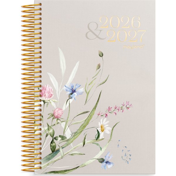 Mayland 26/27 Kalender, Studie Stor Story