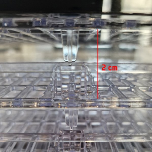 RAW Dehydrator, 6 hylder