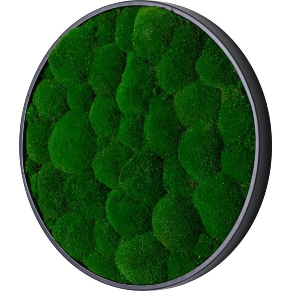 Pudemosbillede, Ø70 cm, m/sort træramme