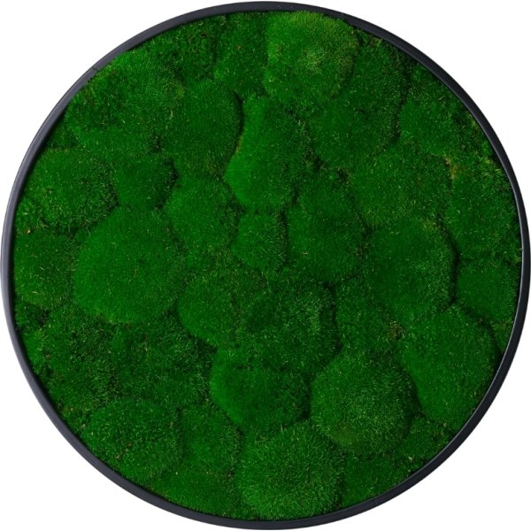 Pudemosbillede, Ø70 cm, m/sort træramme