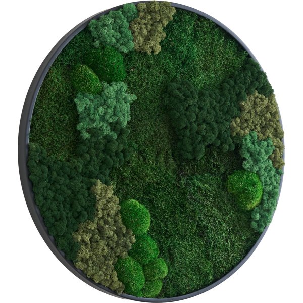 Mosbillede Mix 013, Ø60 cm, m/sort træramme