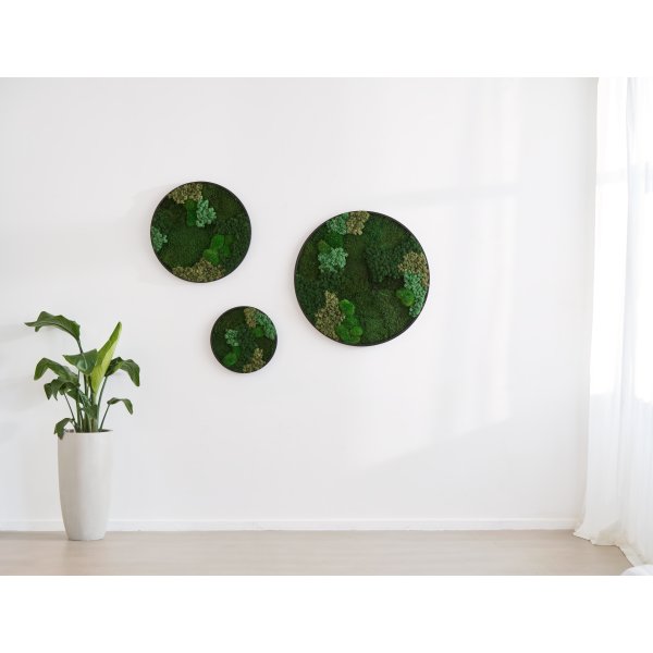 Mosbillede Mix 013, Ø70 cm, m/sort træramme