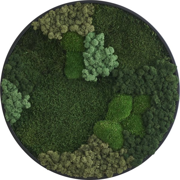 Mosbillede Mix 013, Ø70 cm, m/sort træramme