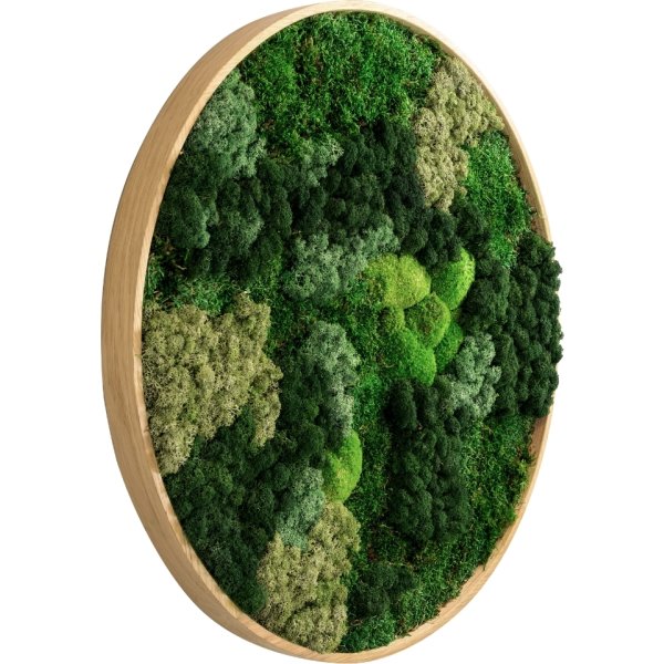 Mosbillede Mix 013 Ø60 cm, m/egetræsramme