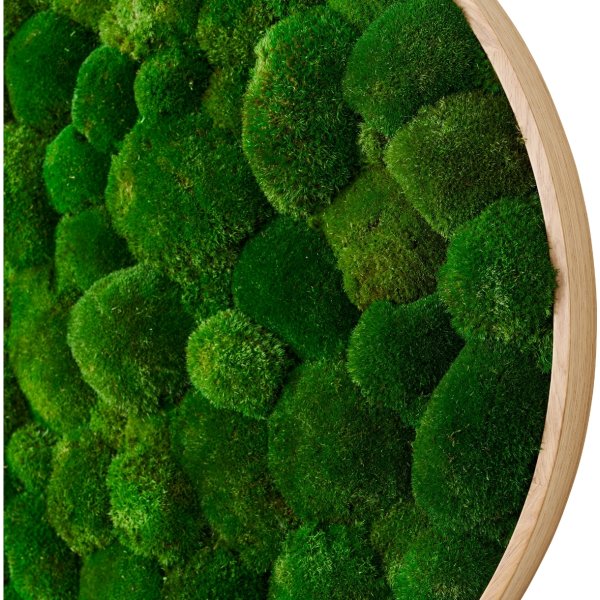 Pudemosbillede Ø50 cm, m/egetræsramme