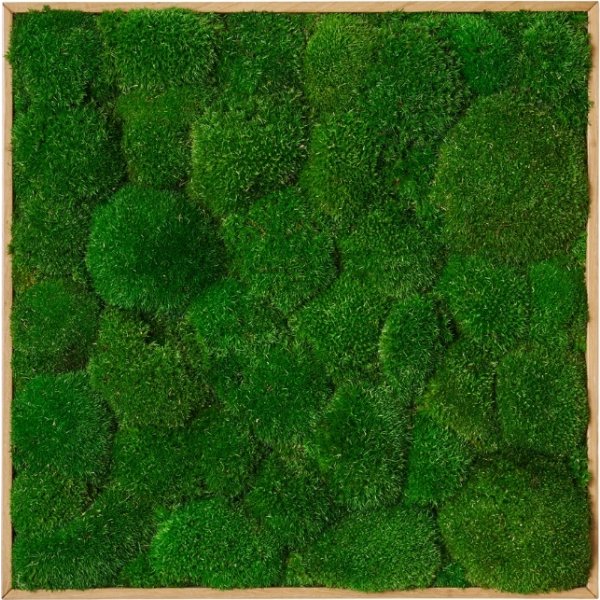 Pudemosbillede, 50x50 cm, m/egetræsramme