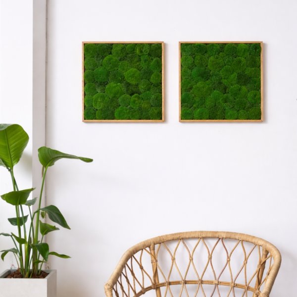 Pudemosbillede, 50x50 cm, m/egetræsramme