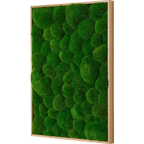 Pudemosbillede, 70x100 cm, m/egetræsramme