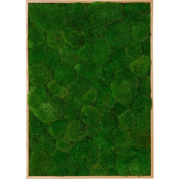 Pudemosbillede, 70x100 cm, m/egetræsramme