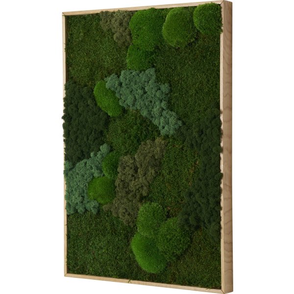 Mosbillede Mix 013, 70x100 cm, m/egetræsramme