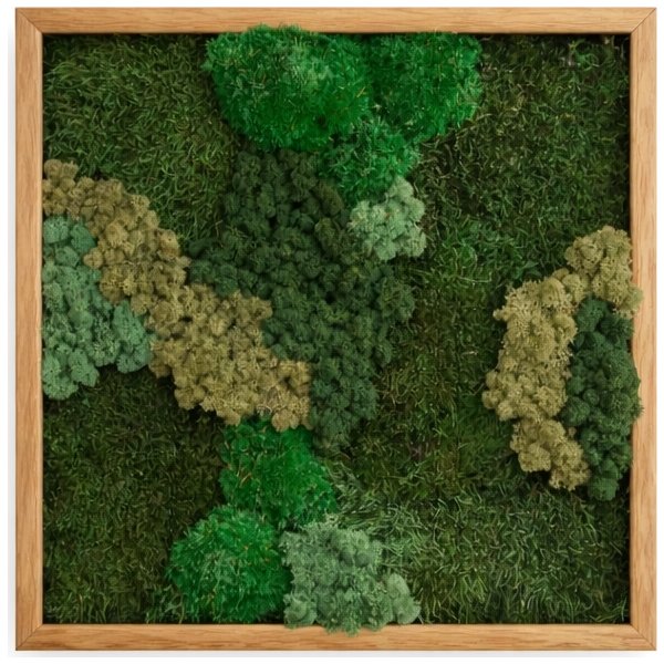 Mosbillede Mix 013, 50x50 cm, m/egetræsramme