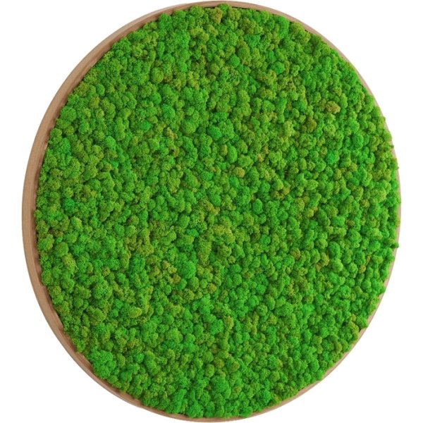 Rensdyrmosbillede Ø50 cm, m/egetræsramme