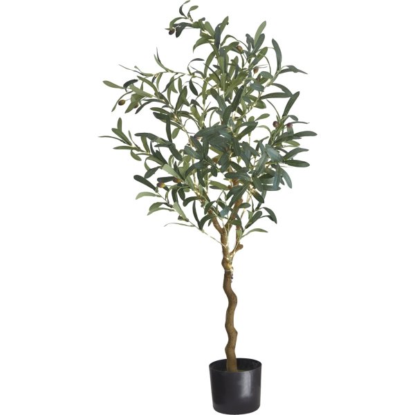 Sirius Oliva Oliventræ, inkl. LED lys, H120 cm