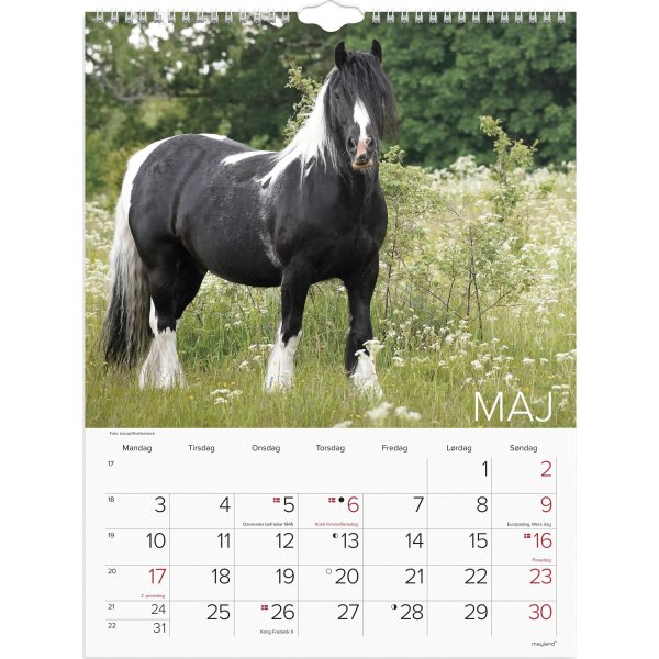 Mayland 2027 Vægkalender, heste