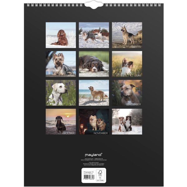 Mayland 2027 Vægkalender, hunde