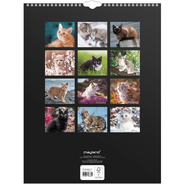 Mayland 2027 Vægkalender, katte