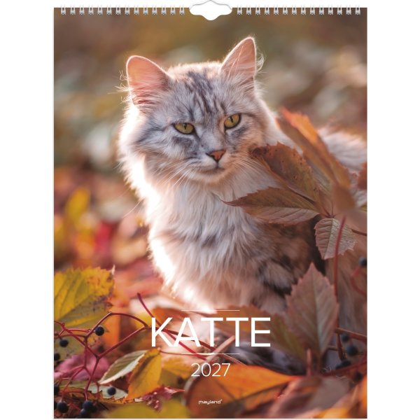 Mayland 2027 Vægkalender, katte