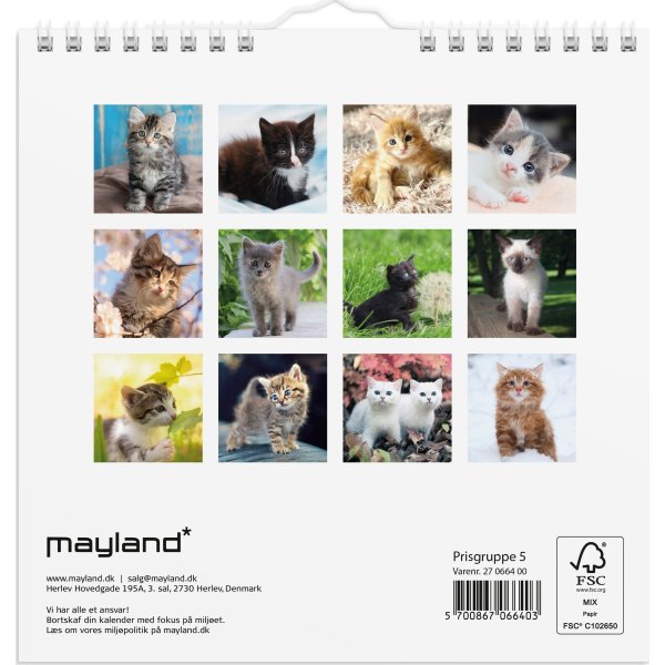 Mayland 2027 Vægkalender, Mini, kattekillinger