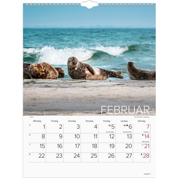 Mayland 2027 Vægkalender, verdens dyr