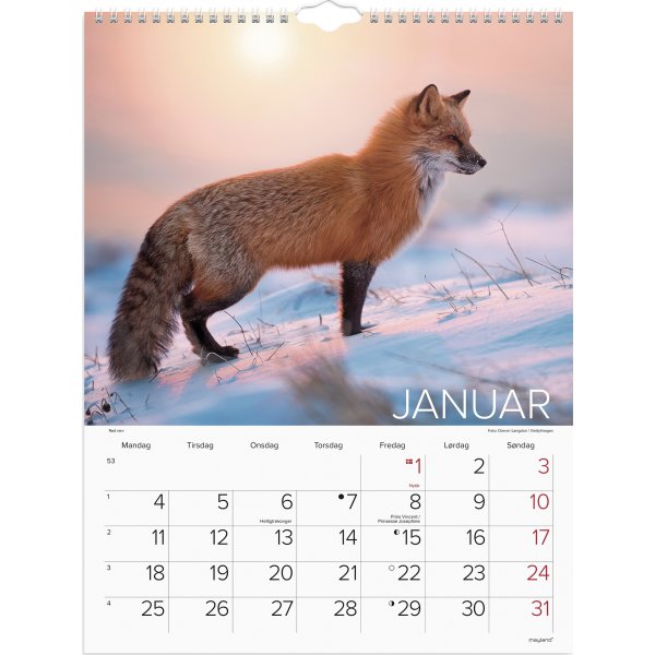 Mayland 2027 Vægkalender, verdens dyr