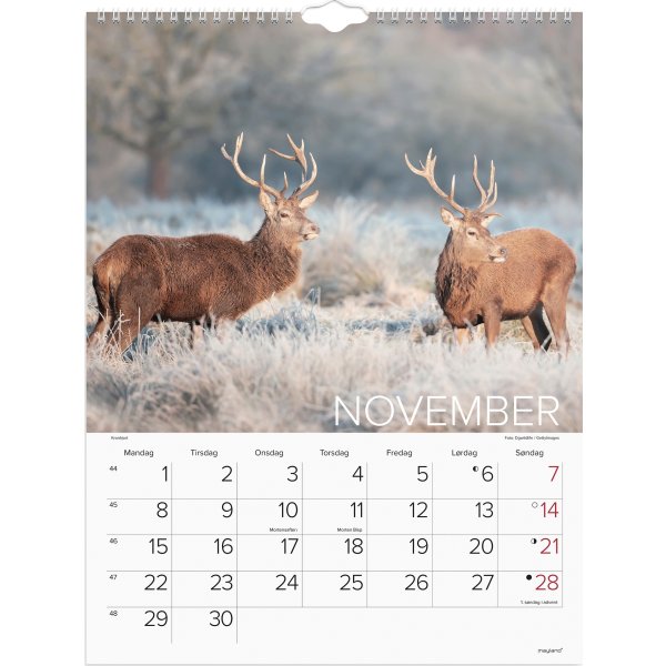 Mayland 2027 Vægkalender, verdens dyr