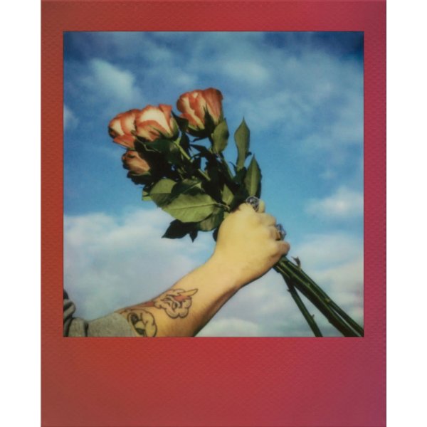 POLAROID Farvefilm Go Regnbuerammer 2-Pak