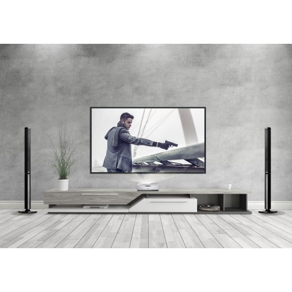 dnp 100" LaserPanel